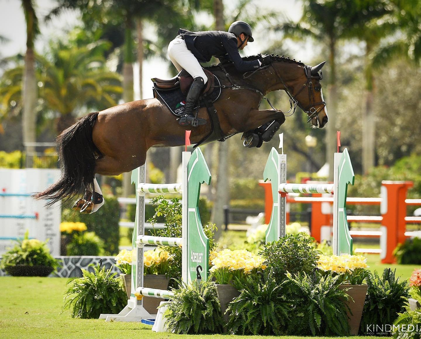 Team Rakowsky, Florida, USA - Showjumping Horses For Sale